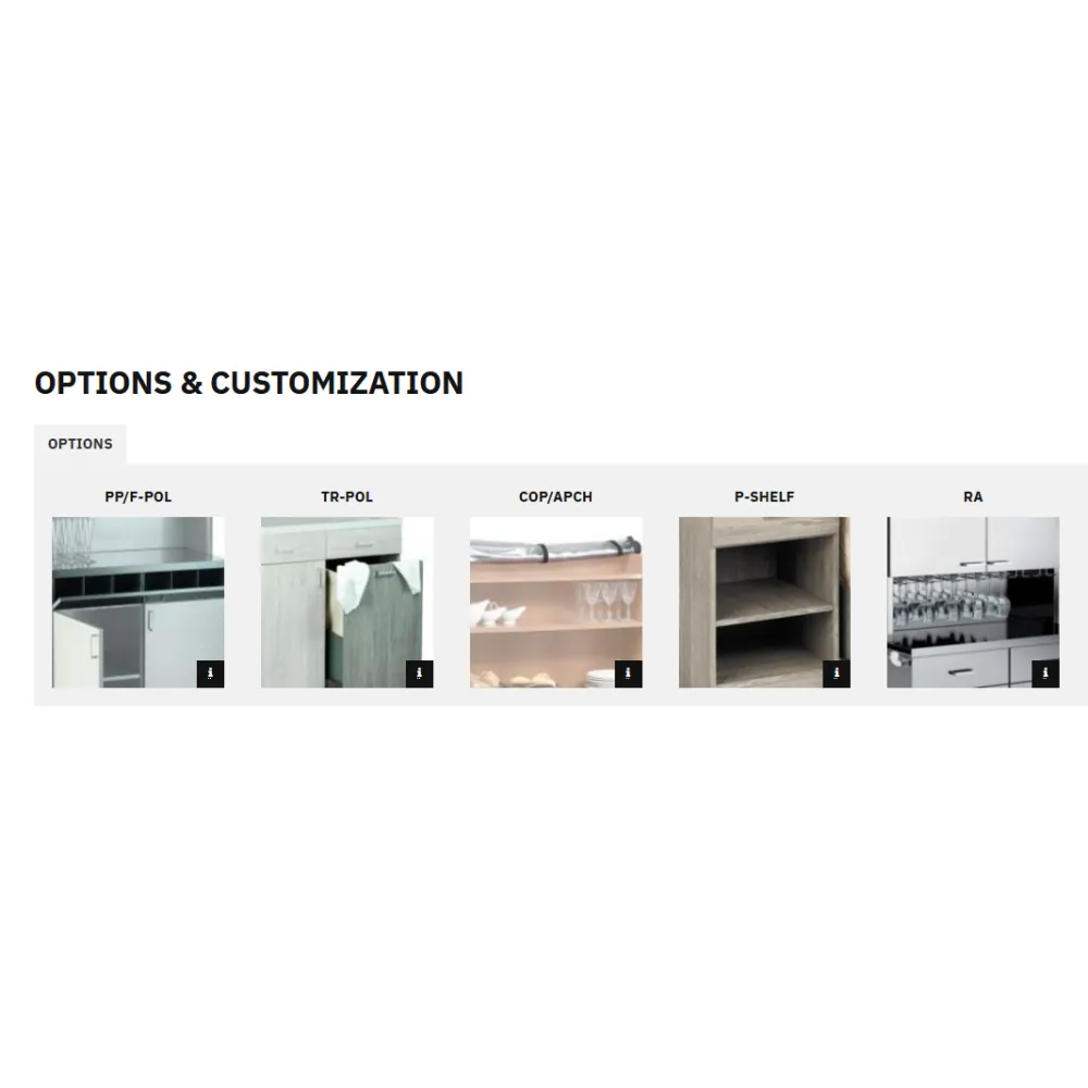 Station de service pour serveurs ROCAM 015INPOL2AP