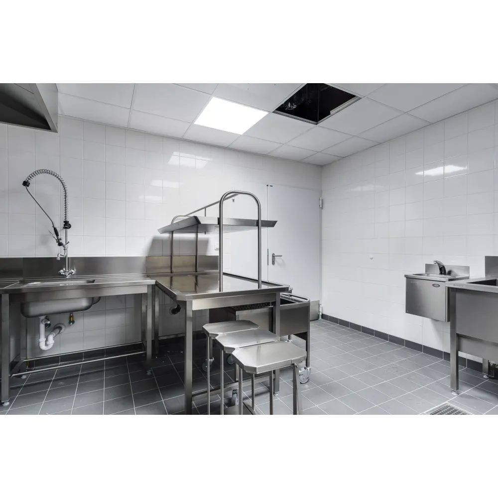 Ligne de distribution BHS-HoReCa Public catering