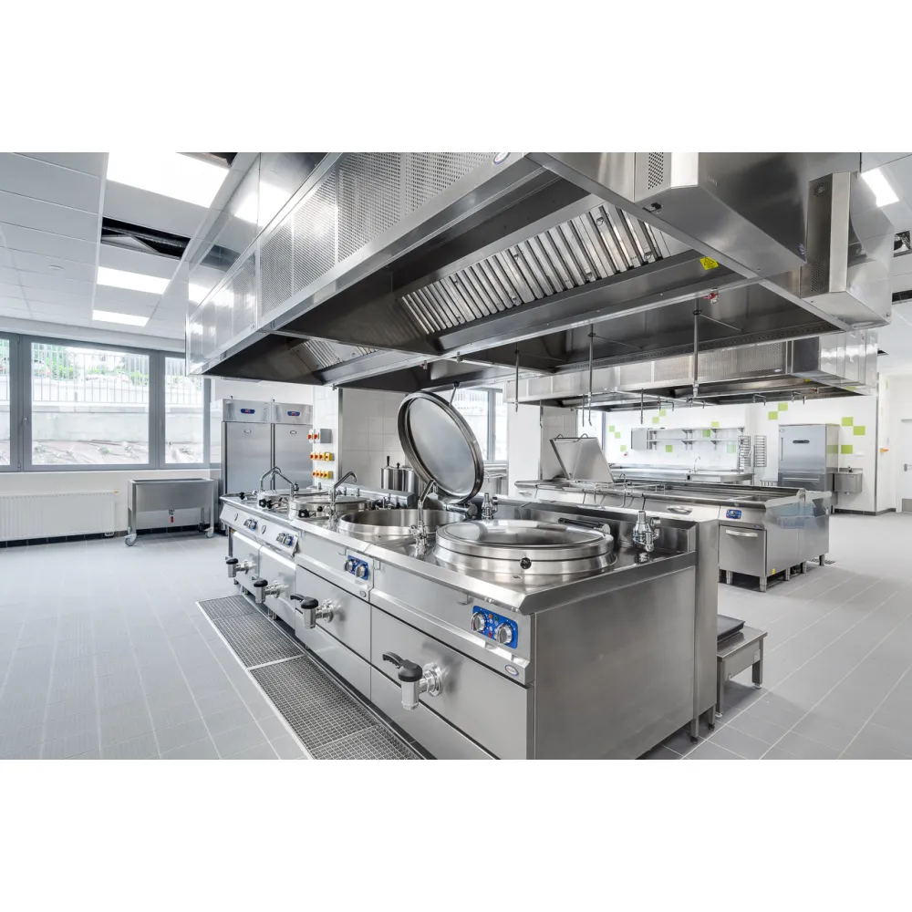Ligne de distribution BHS-HoReCa Public catering