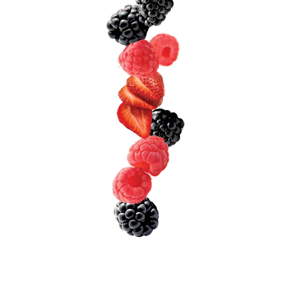 Purée 1883 275202160100
