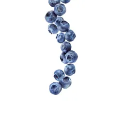 Sirop 1883 275202160018