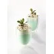 Sirop de Menthe Verte 1 l