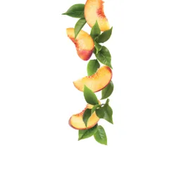 Sirop 1883 275202160026