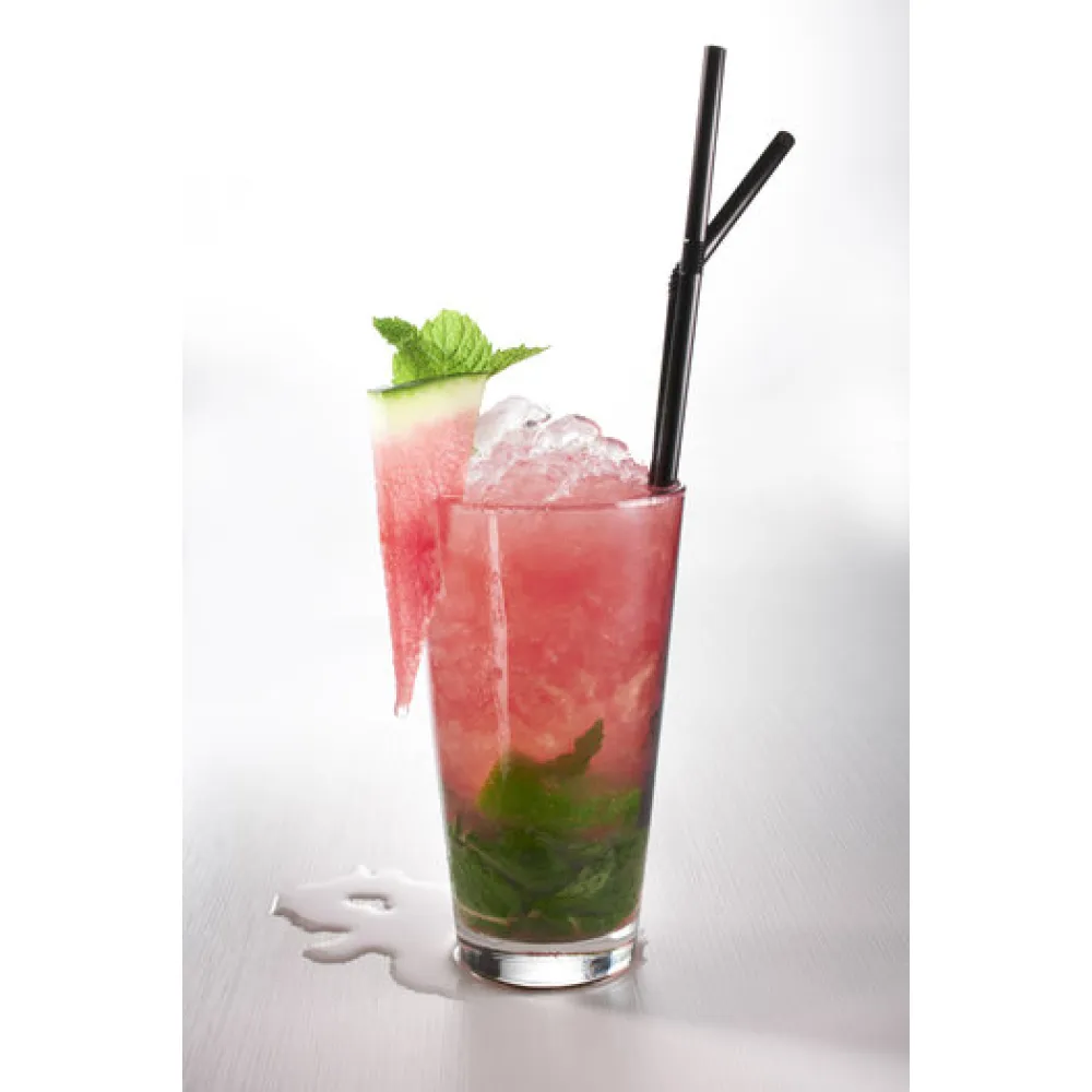Sirop 1883 275202160030