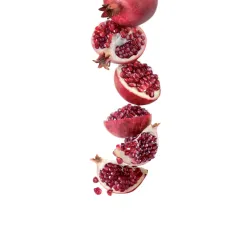 Sirop 1883 275202160078