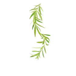 Sirop 1883 275202160007