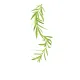 Sirop 1883 275202160007