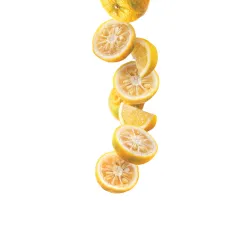 Sirop 1883 275202160045
