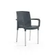 Chaise d'extérieur BHS-HoReCa 3G-DianaChair