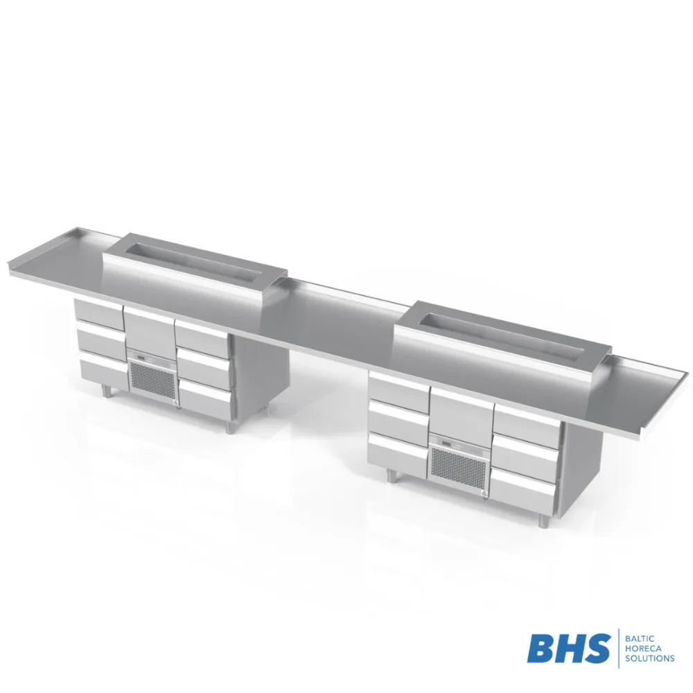 Plan de travail sur mesure avec 2 tables réfrigérées BHS-HoReCa NN26