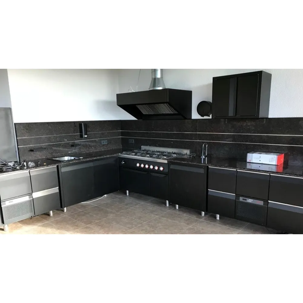 Cuisine professionnelle pour maison individuelle BHS-HoReCa NN87