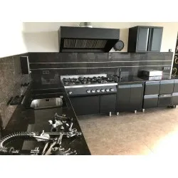 Cuisine professionnelle pour maison individuelle BHS-HoReCa NN87