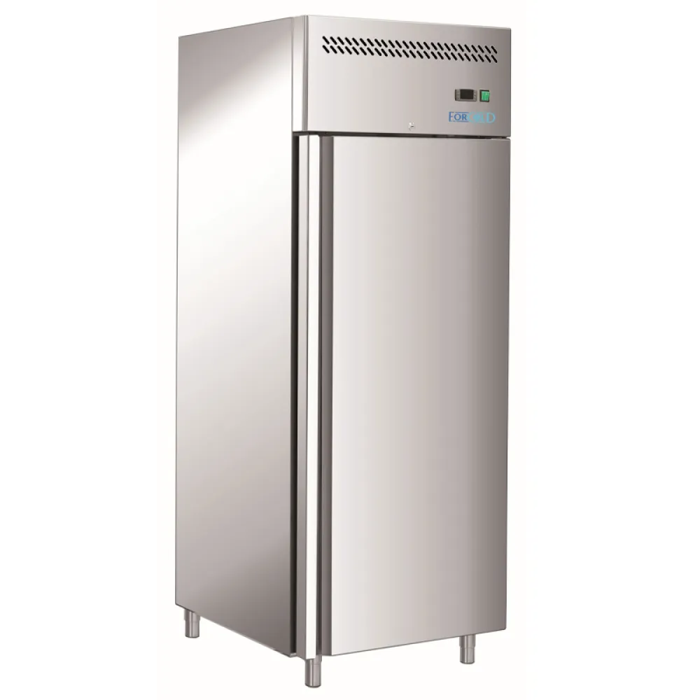 Congélateur vertical Forcold M-GN650BT-FC