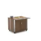 Vitrine libre-service ROCAM 010MOATHN2