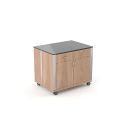Vitrine libre-service ROCAM 010MOATHSAL2