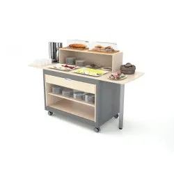Module mobile pour cantine ROCAM 016MOBRK
