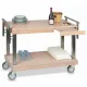 Chariot de service ROCAM 008INART/02ML