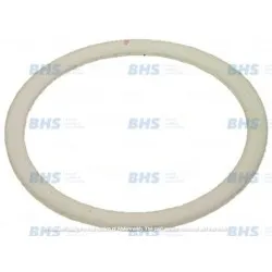 Joint plat PTFE LF L1186194