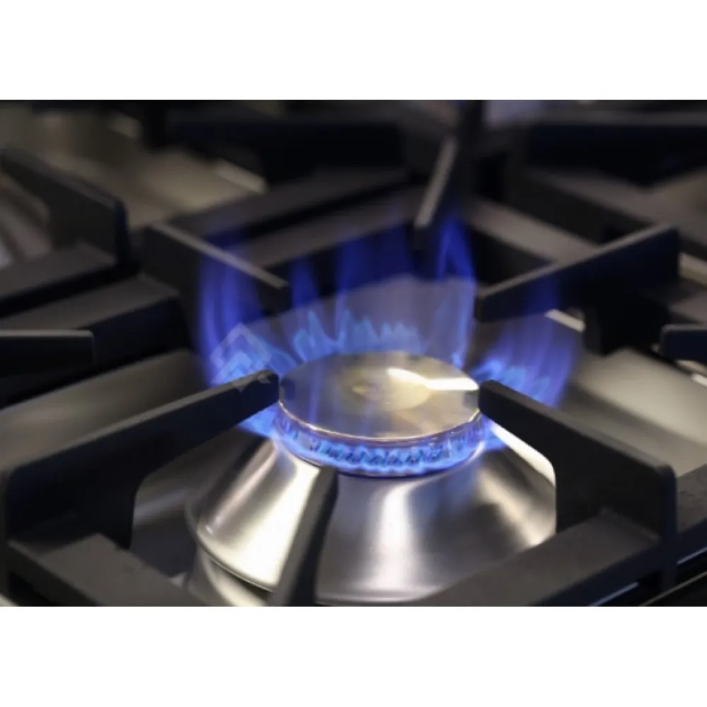 Réchaud à gaz de table BHS-G GT2100-120EV