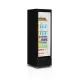 Armoire réfrigérée vitrée TEFCOLD C1DB