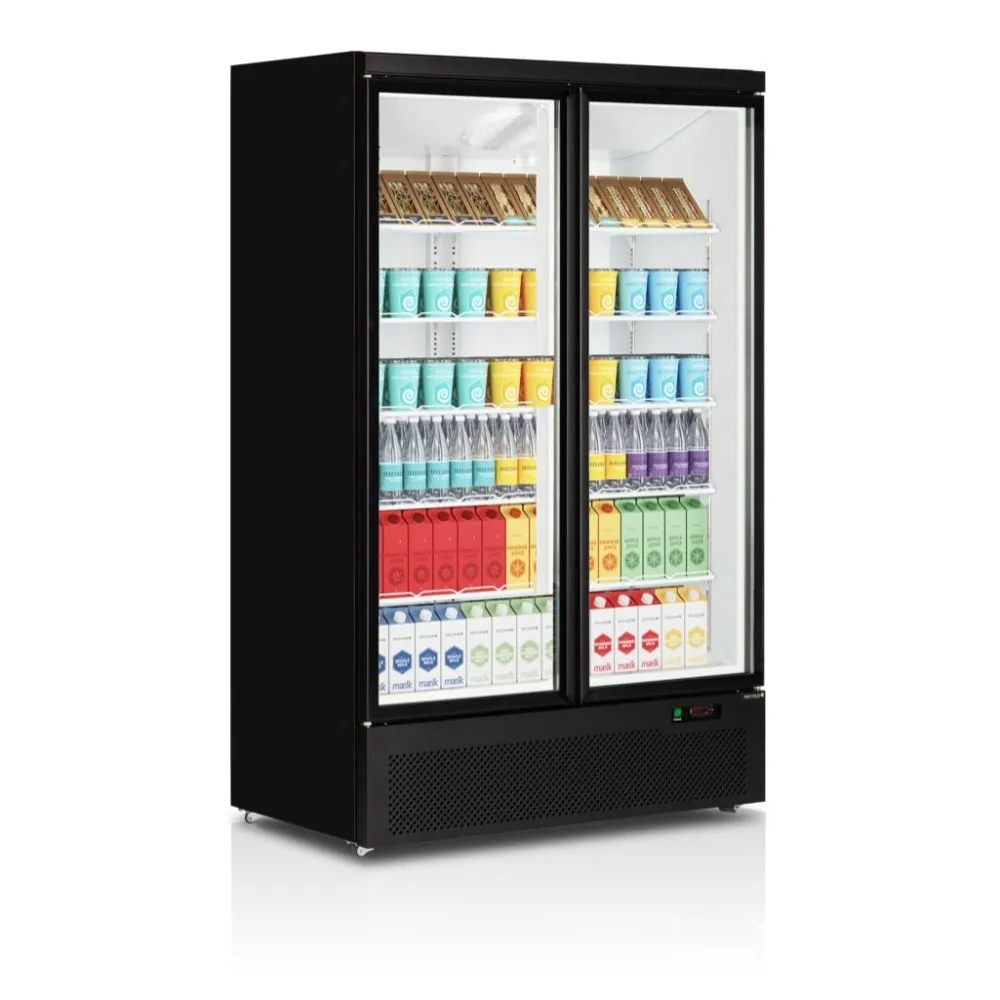Armoire réfrigérée vitrée TEFCOLD C2DB
