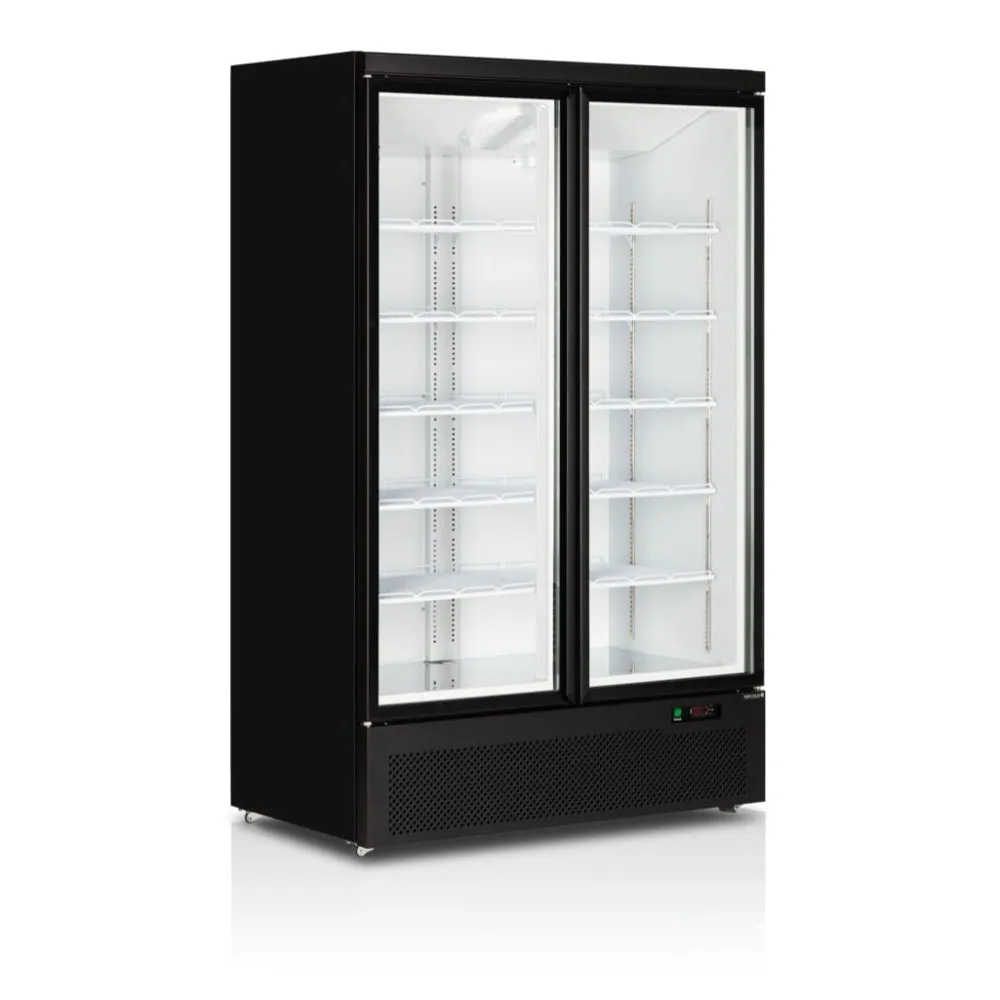 Armoire réfrigérée vitrée TEFCOLD C2DB