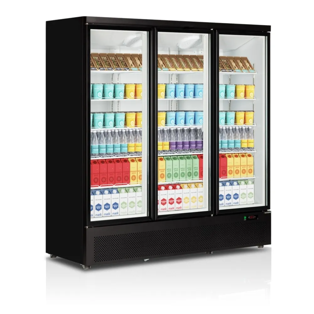 Armoire réfrigérée vitrée TEFCOLD C3DB