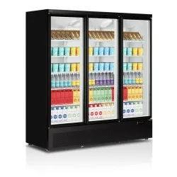 Armoire réfrigérée vitrée TEFCOLD C3DB