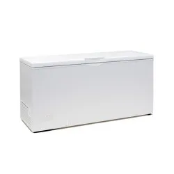 Congélateur bahut TEFCOLD EBC61