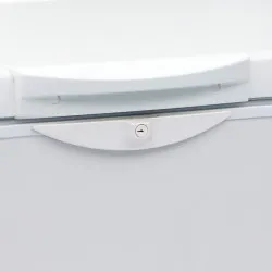 Congélateur bahut TEFCOLD EBC35