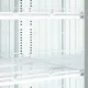 Congélateur TEFCOLD F2DB