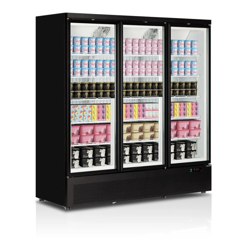 Congélateur TEFCOLD F3DB