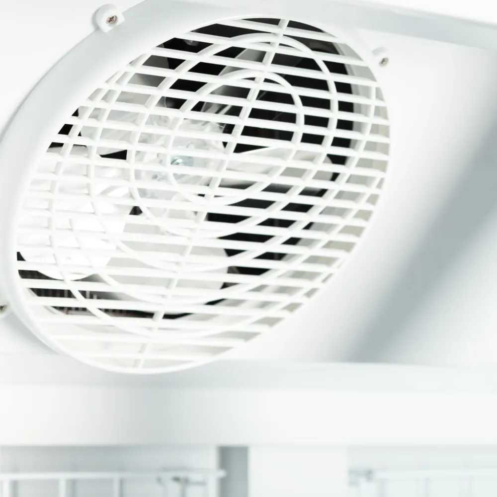 Congélateur TEFCOLD F3DB