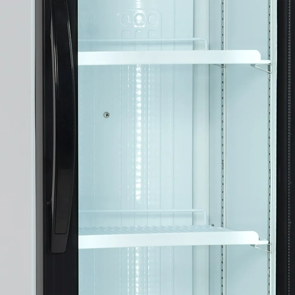 Armoire réfrigérée vitrée TEFCOLD FS176H