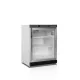 Armoire réfrigérée vitrée TEFCOLD UR200G