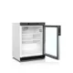 Armoire réfrigérée vitrée TEFCOLD UR200G