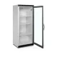 Armoire réfrigérée vitrée TEFCOLD UR600G