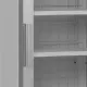 Vitrine congélateur TEFCOLD UFSC1450GCP-NF-SILVER