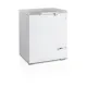 Congélateur coffre TEFCOLD FR205S-SL