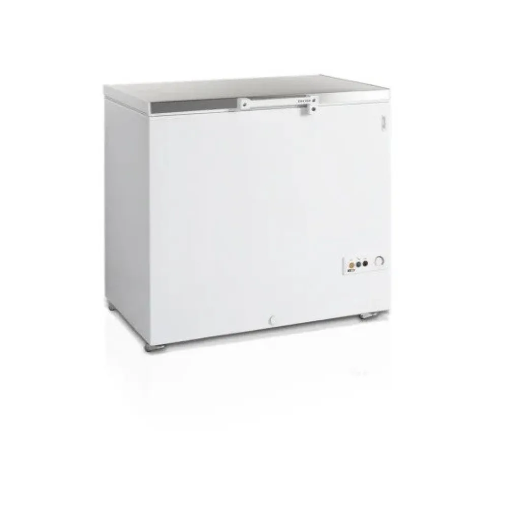 Congélateur coffre TEFCOLD FR305S-SL