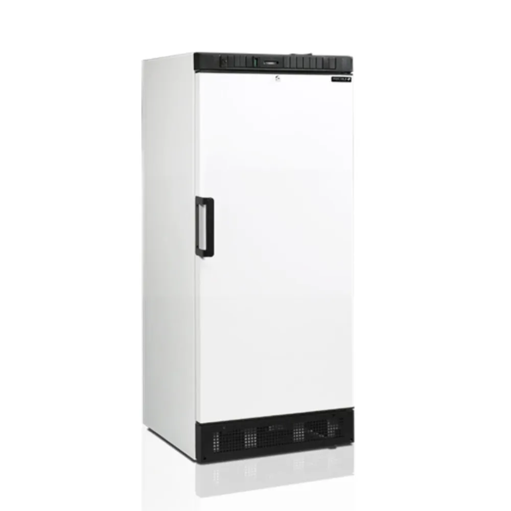 Réfrigérateur TEFCOLD SDU1220