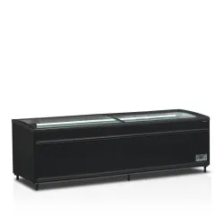 Vitrine TEFCOLD SFI250B-CF VS