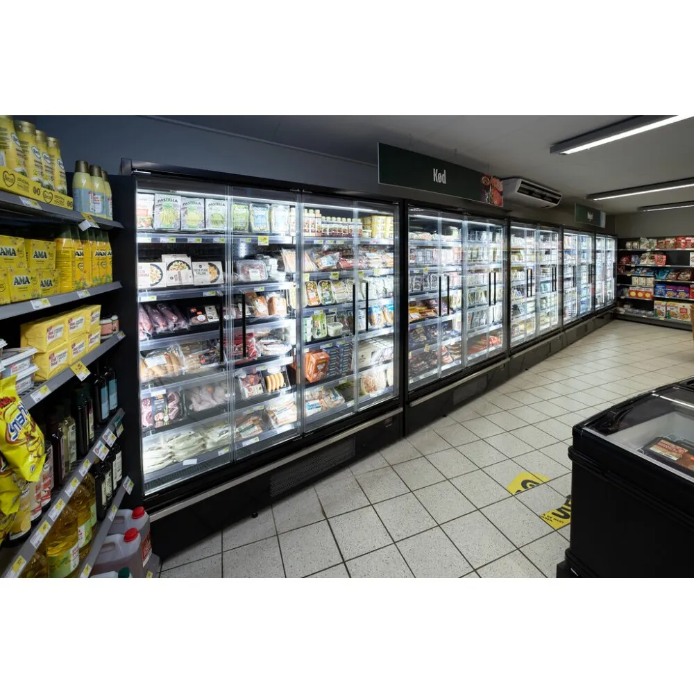 Vitrine TEFCOLD Galaxy+ GP10FGD