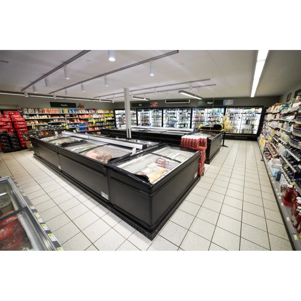 Vitrine TEFCOLD SFI145B-CF VS
