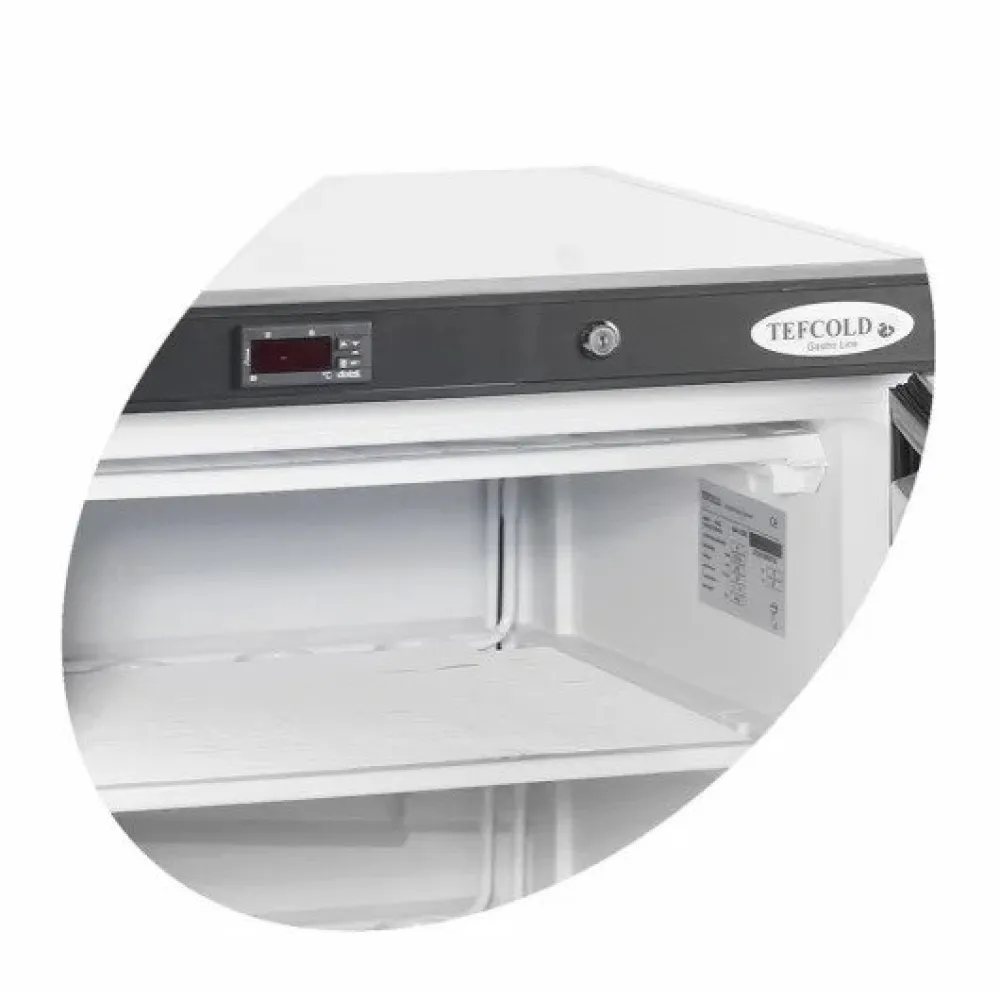 Congélateur vertical TEFCOLD UF200