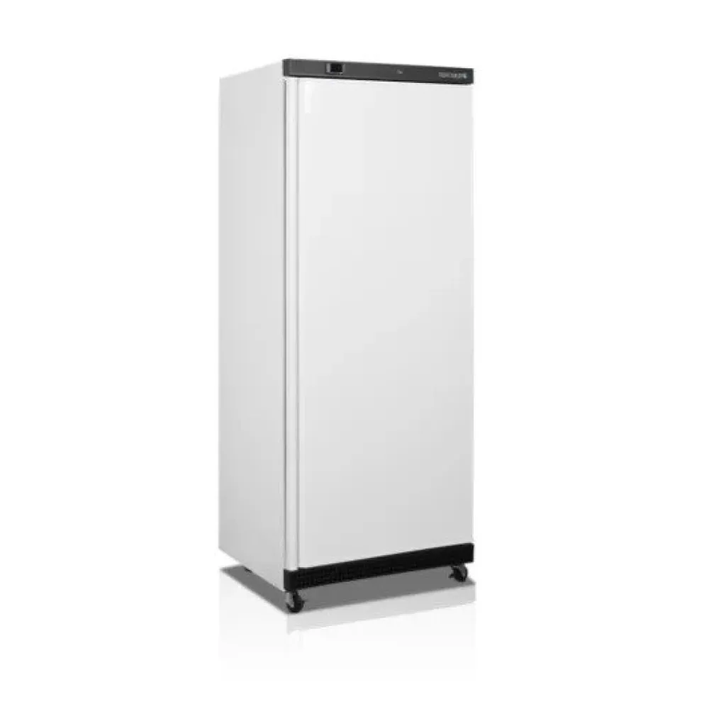 Congélateur vertical TEFCOLD UF600