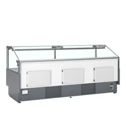 Vitrine TEFCOLD SOCA25090A