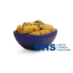 Plat de service pour vitrines BHS-HoReCa BHS440165