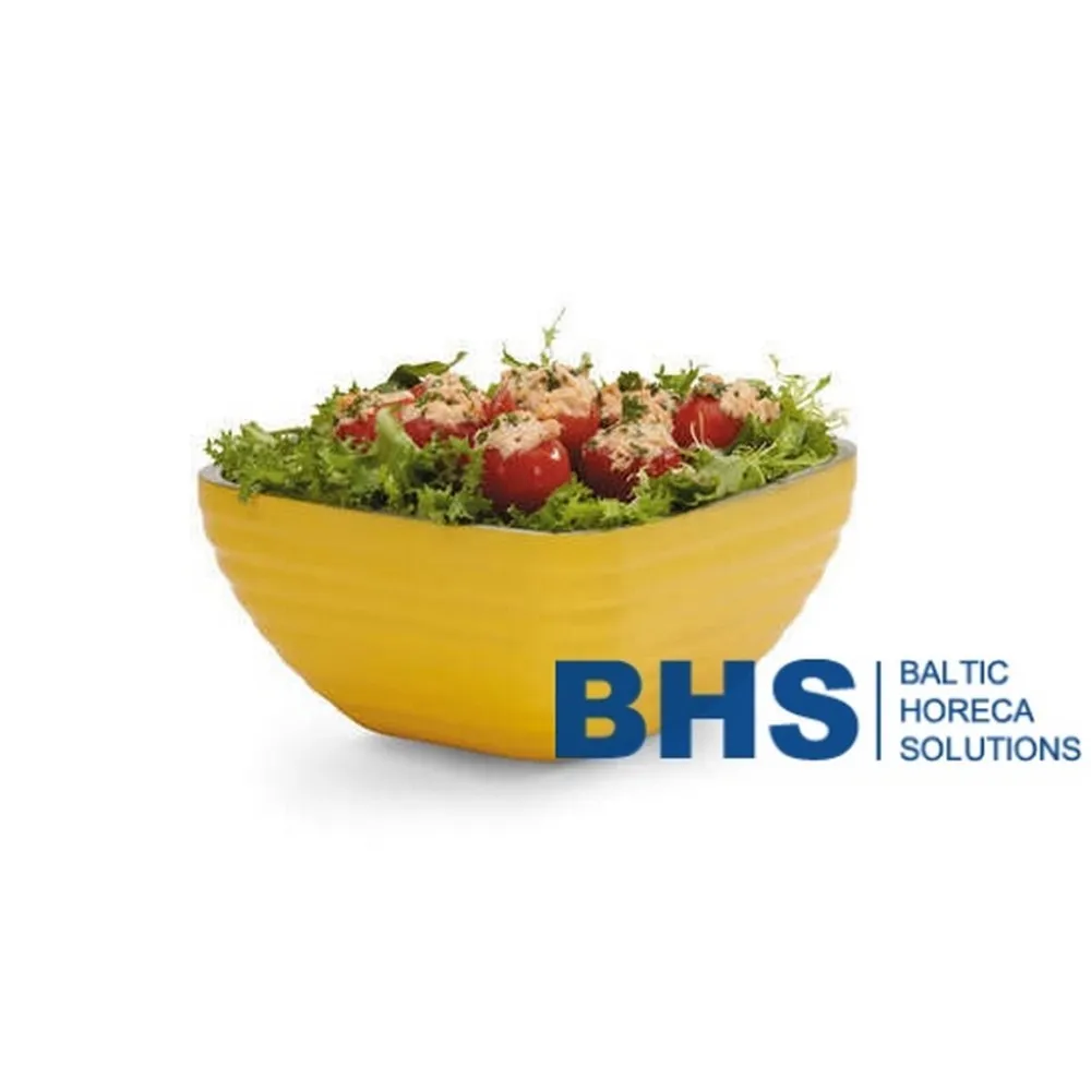 Plat de service pour vitrines BHS-HoReCa BHS440165