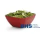 Plat de service pour vitrines BHS-HoReCa BHS440165